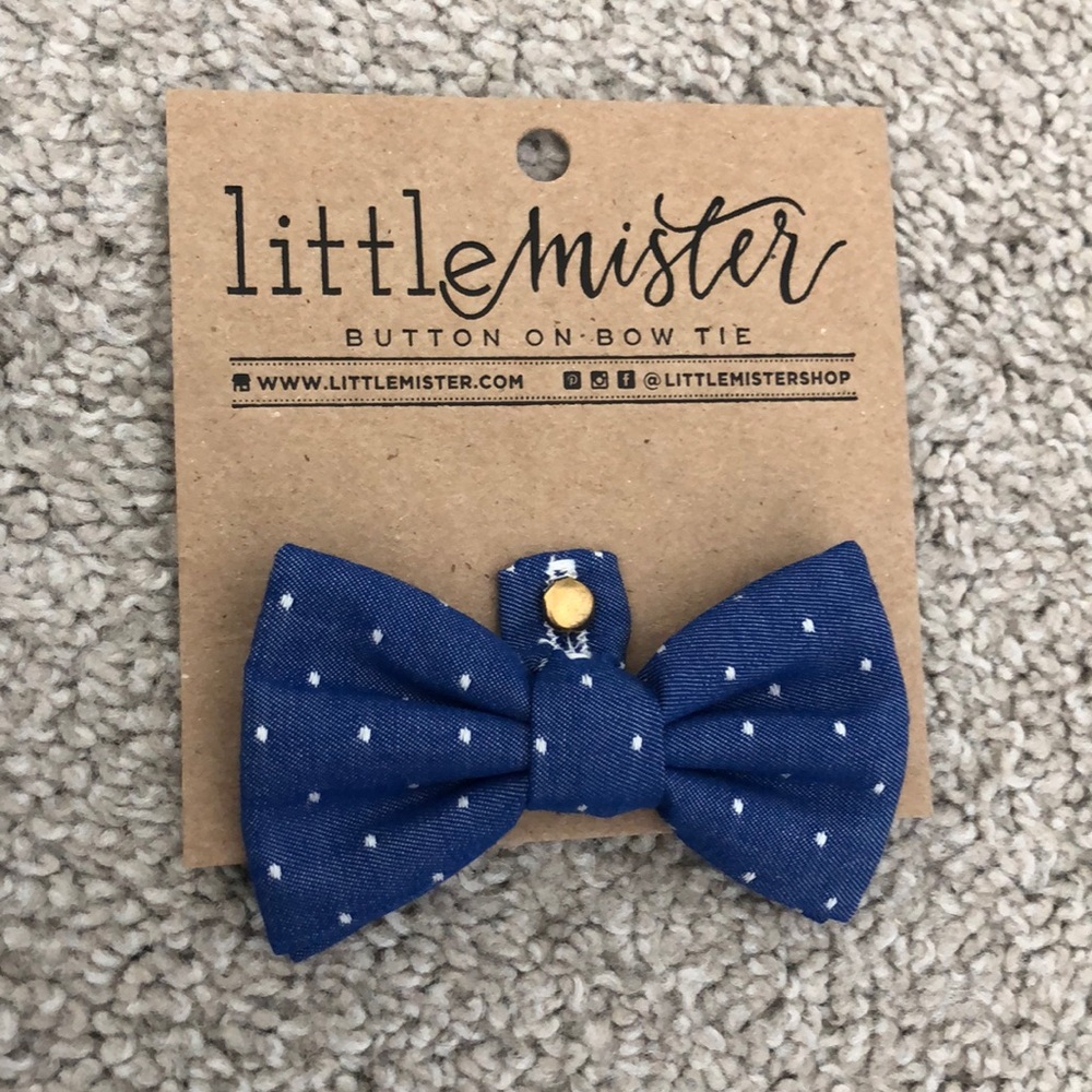 Little Mister bow tie